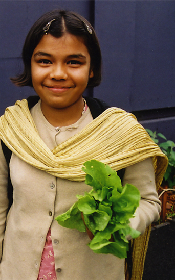 donate school lunch initiative